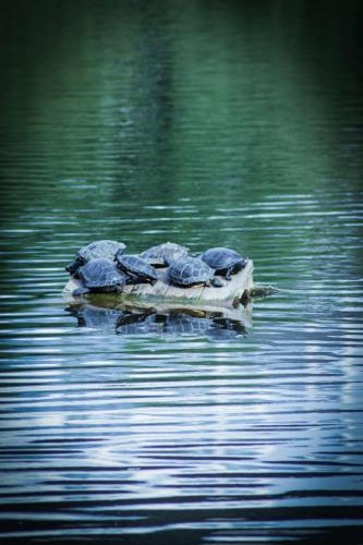 IMG_0033-edit-20240509193213