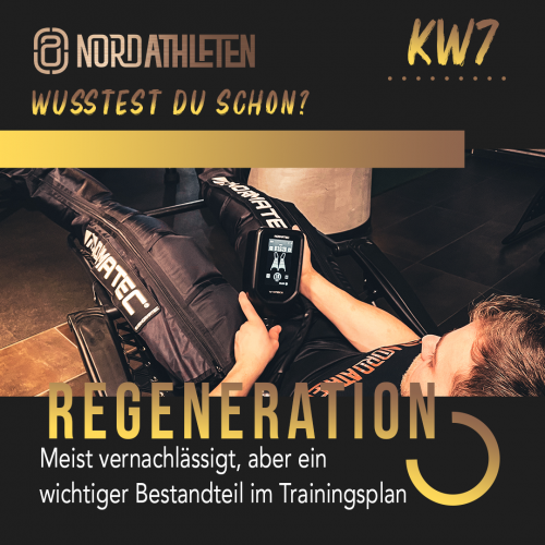 Regeneration WDS KW7 V3